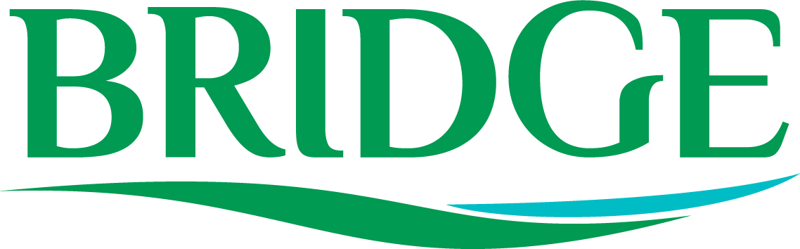 Logo proyecto BRIDGE